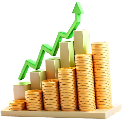 finance 1