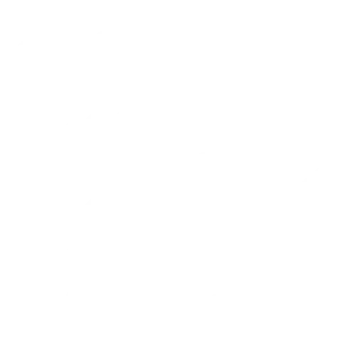 follow-up 4