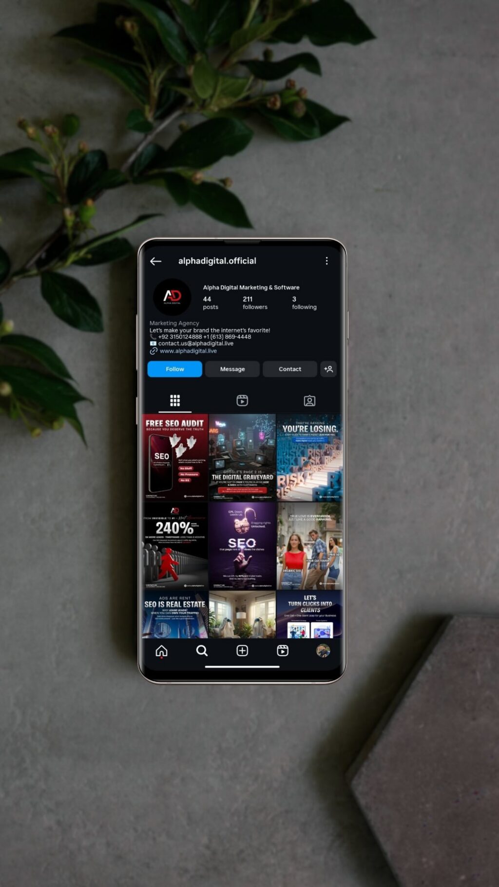 Instagram post from alphadigital.official. This post is in position 3.